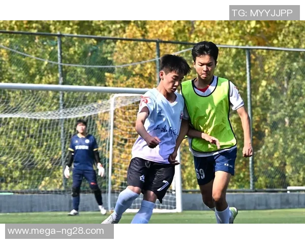 探讨足球精神的内涵与价值在团队合作与个人成长中的重要性